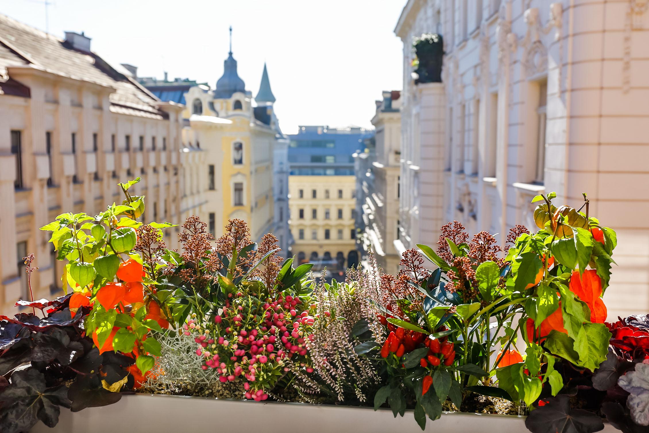 Boutiquehotel Das Tyrol Wien Eksteriør bilde